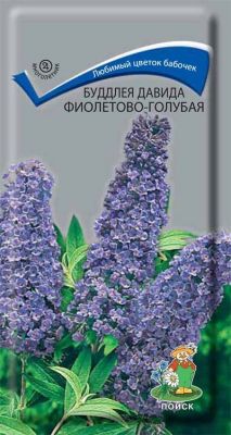 Семена Буддлея Давида фиолетово-голубая 0,01 (ПОИСК)