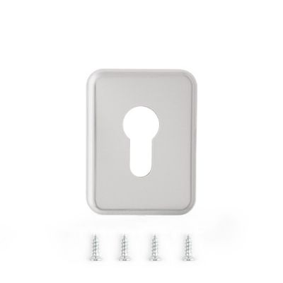 Накладка декоративная Avers DP-15.mini-C-CR