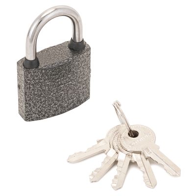 ВС Аллюр ВС1Ч-330 замок навесной д.5мм. 5кл. полимер (12/144)